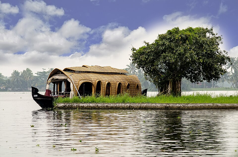 Lush palms beside the peaceful backwaters of Kerala