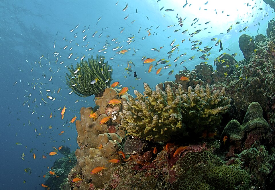 Andaman luxury travel